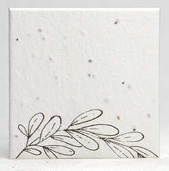 seed paper square shapes
